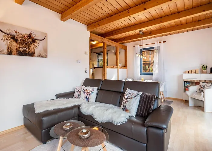 Elisabeth Mit Fasssauna Tatil Evi Hornberg