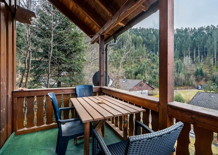 Elisabeth Mit Fasssauna Tatil Evi Hornberg