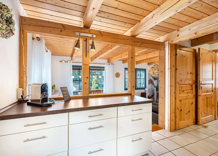 Elisabeth Mit Fasssauna Tatil Evi Hornberg